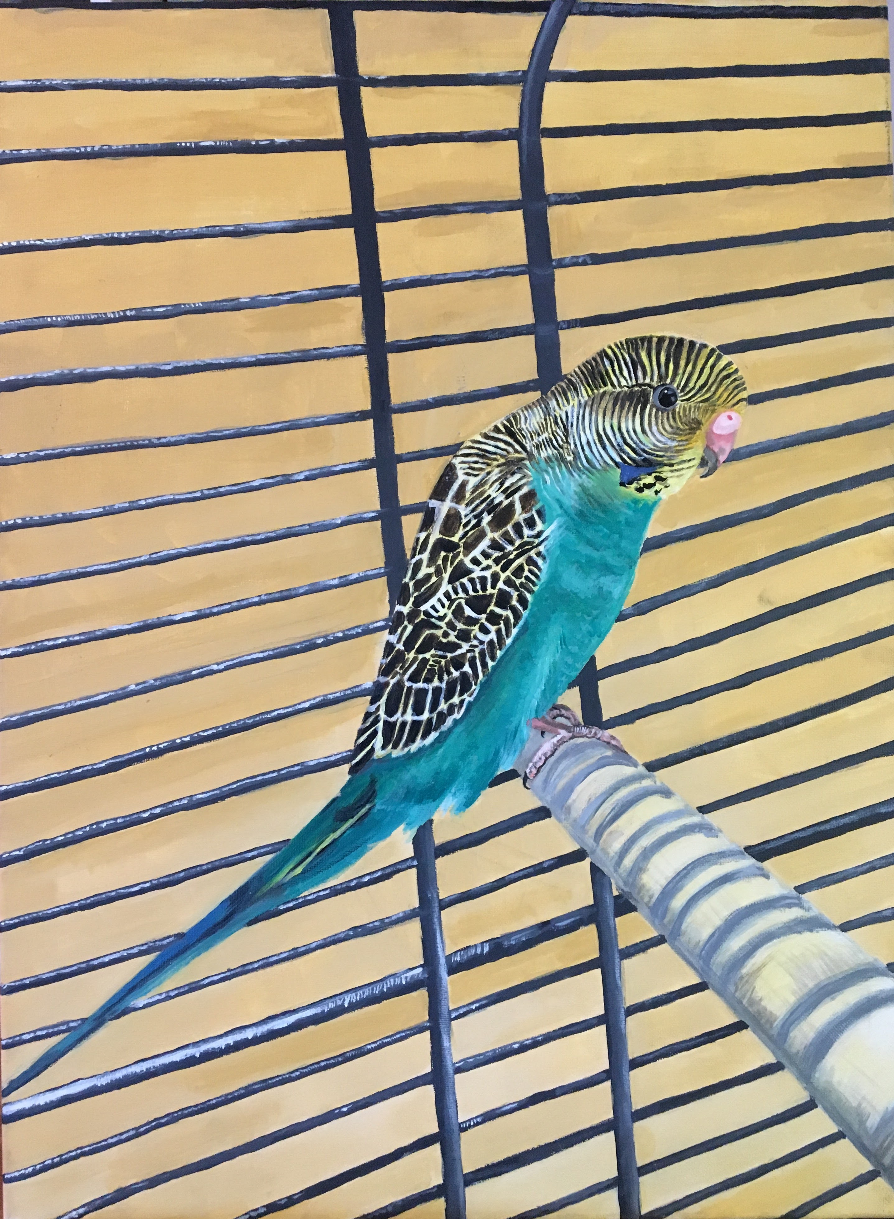 Acrylic painting of a budgie on a cage perch